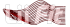 logo_liifit